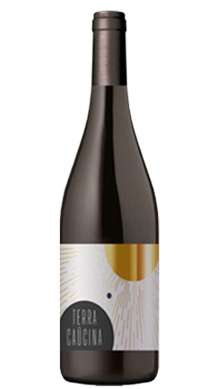 Terra Caucina Clos le Joncal Bergerac AOP 2023