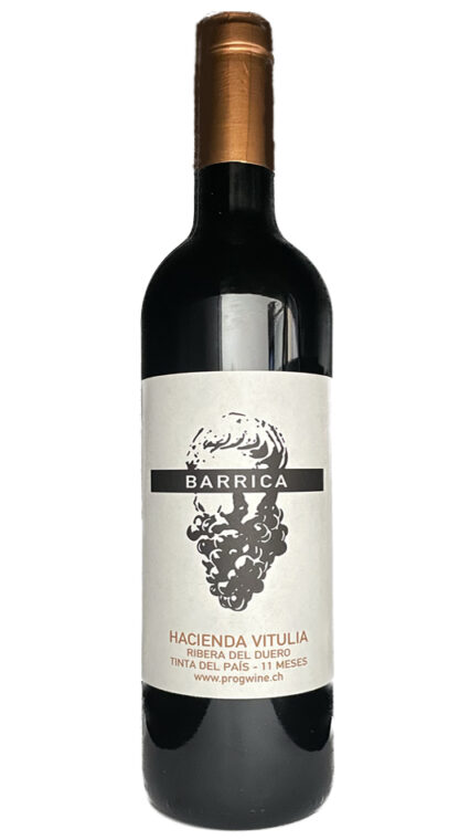 Barrica ProgWine Bodegas Vitulia 2022