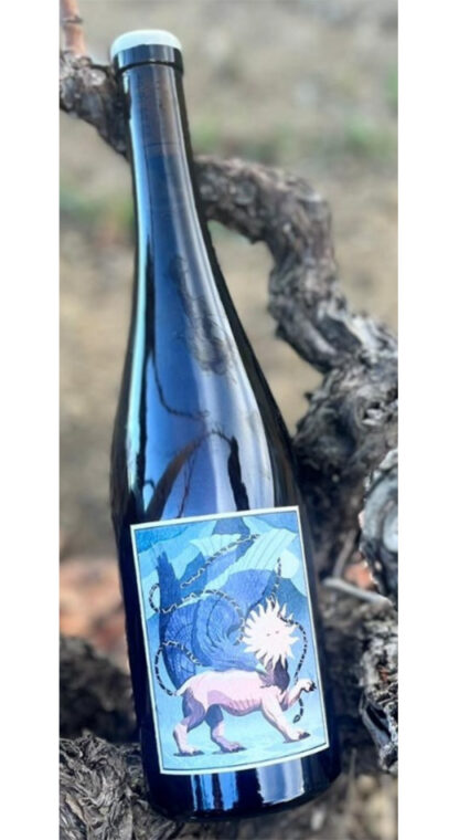 Aube, Domaine Modat, Côtes Catalanes IGP 2021