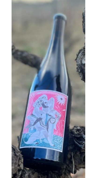 Carignan "Cuvée sans Nom", Domaine Modat, Côtes Catalanes IGP 2019