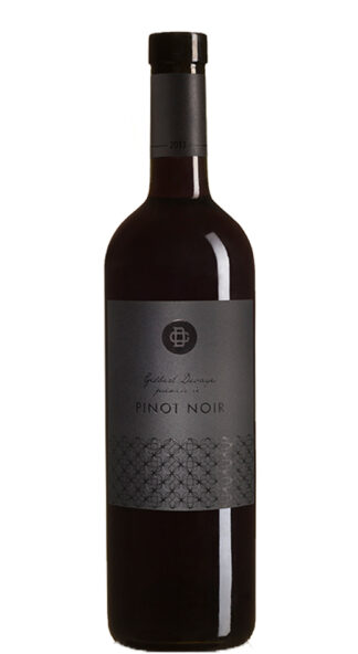 Pinot Noir Vieille Vigne Devayes Valais AOC 22